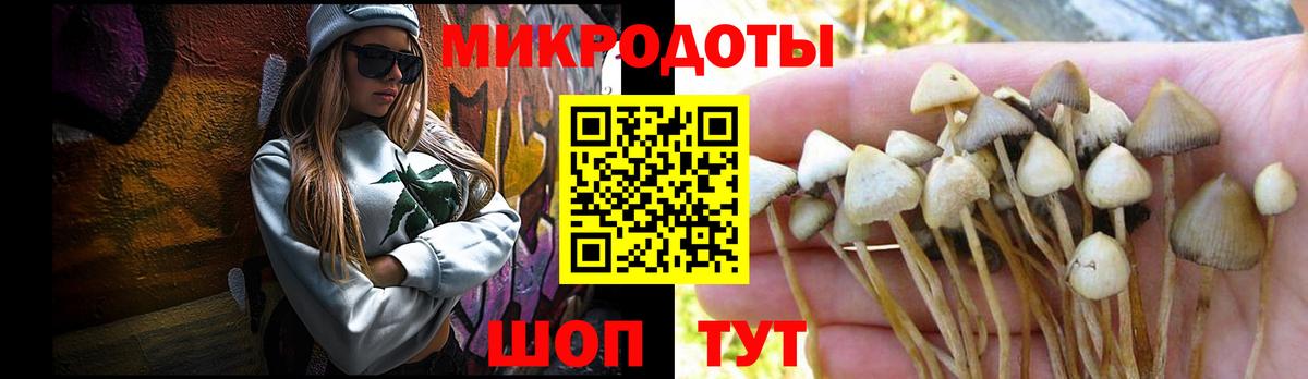 Псилоцибиновые грибы Cubensis Черногорск