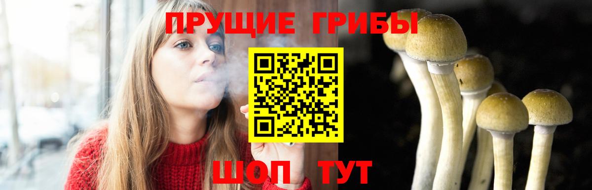 Галлюциногенные грибы ЛСД  Вход с VPN  Галлюциногенные грибы Psilocybe  Черногорск 